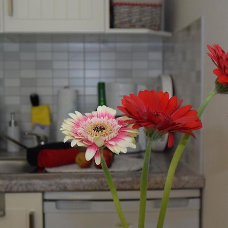 Ferienapartments Urlaub Und Meer Kühlungsborn Pokój zdjęcie