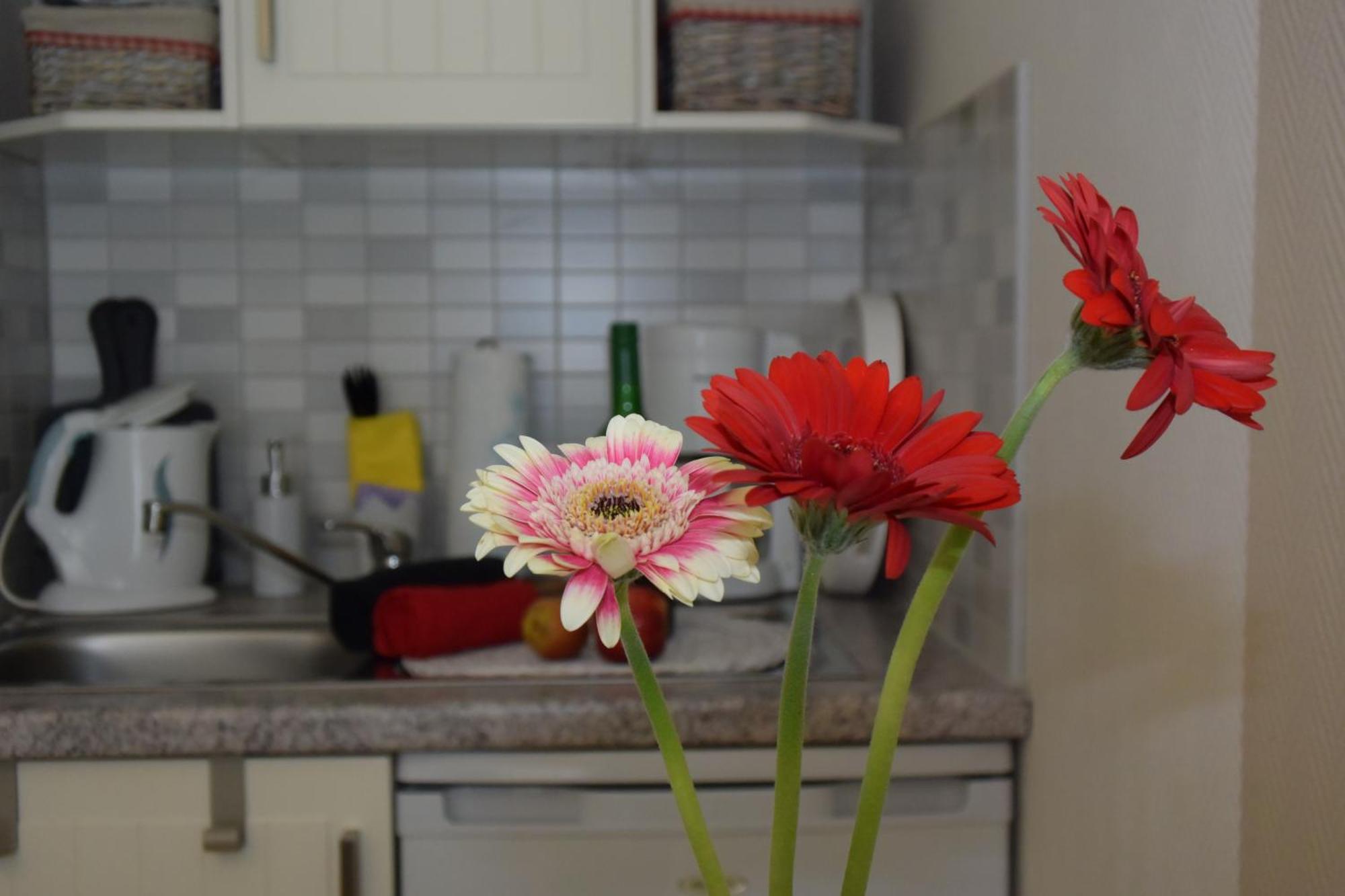 Ferienapartments Urlaub Und Meer Kühlungsborn Pokój zdjęcie